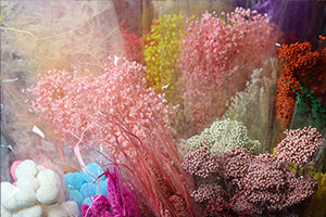 Dried And Preserved Flowers Category