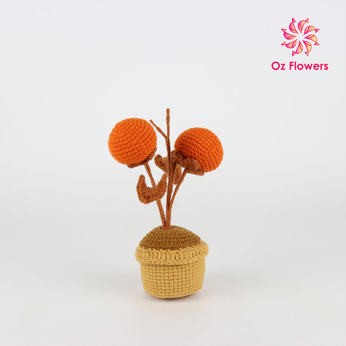 Crochet 2 Brown Fruits In 6.5cm Pot