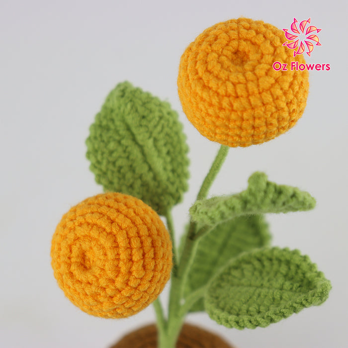 Crochet 2 Orange Berries In 6.5cm Pot