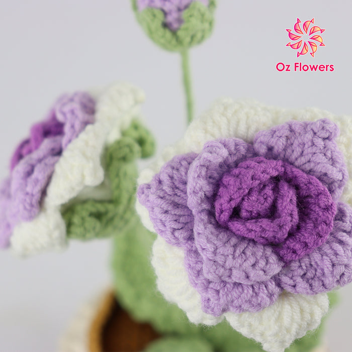 Crochet 2 Purple White Roses And A Bud In 10cm Pot