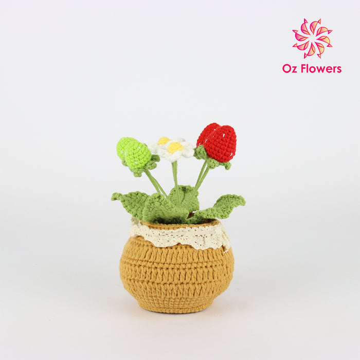 Crochet Strawberries And Flowers In 10cm Pot