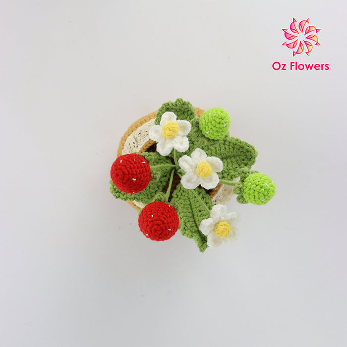 Crochet Strawberries And Flowers In 10cm Pot