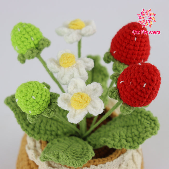 Crochet Strawberries And Flowers In 10cm Pot