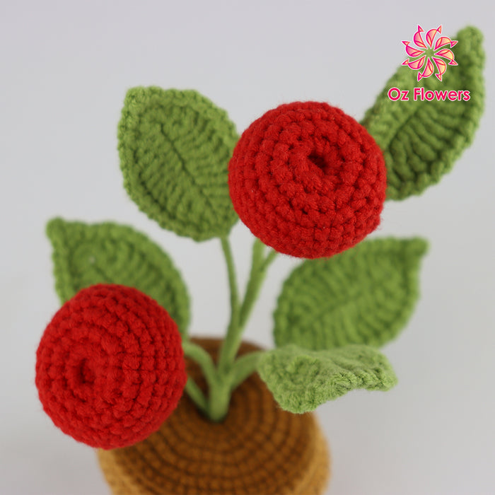 Crochet 2 Red Cherries In 6.5cm Pot