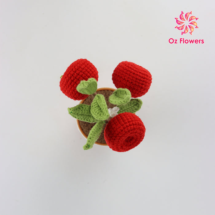 Crochet 3 Red Cherries In 7cm Plastic Pot