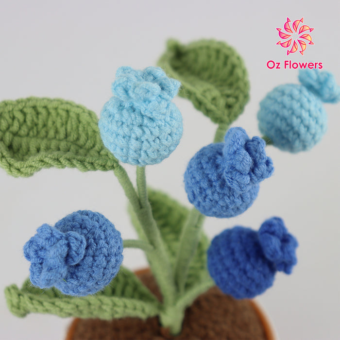 Crochet 5 Blue Berries In 7cm Plastic Pot