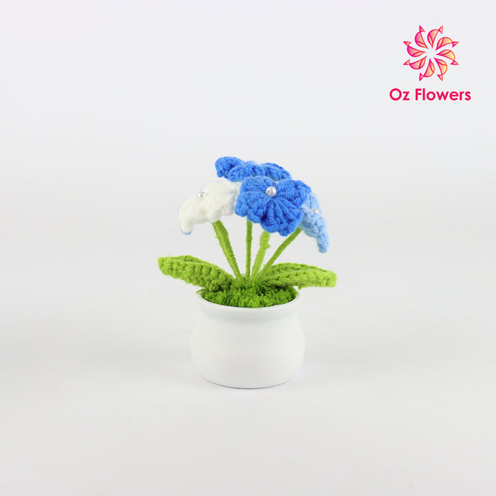 Crochet 6 Blue And White Flowers In 5cm White Plastic Pot