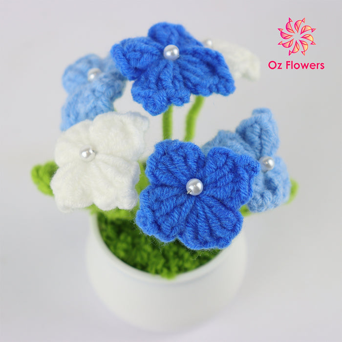 Crochet 6 Blue And White Flowers In 5cm White Plastic Pot