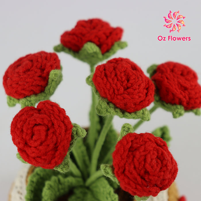 Crochet 6 Red Roses In 10cm Pot