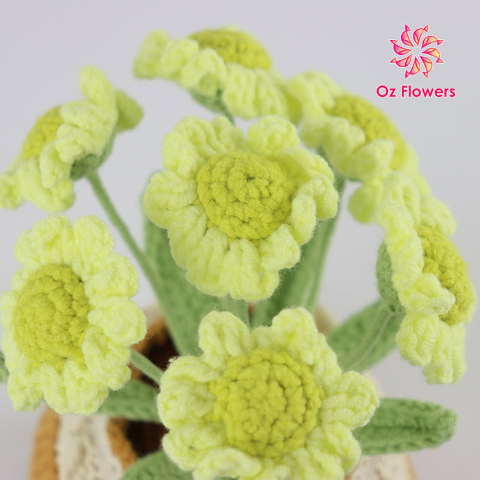 Crochet 7 Green Daisies In 10cm Pot