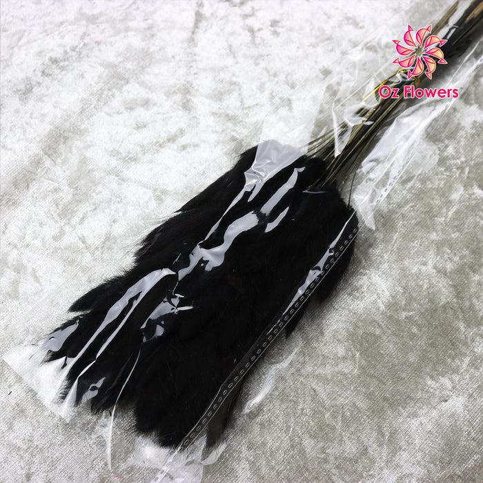 Black Natural Dried Bunny Tails Flower Bunch