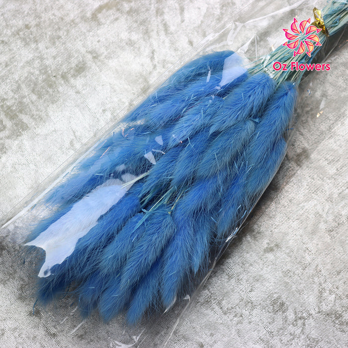 Blue Natural Dried Bunny Tails Flower Bunch