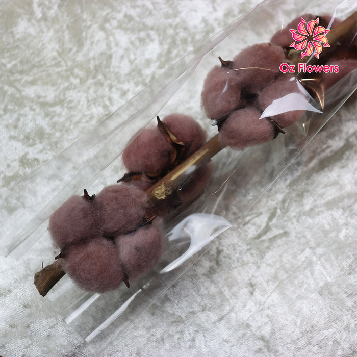 Brown Natural Dried Cotton Flowers Stick