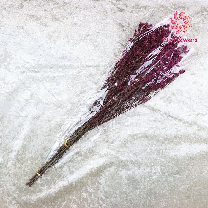 Magenta Natural Dried Crystal Grass Bunch