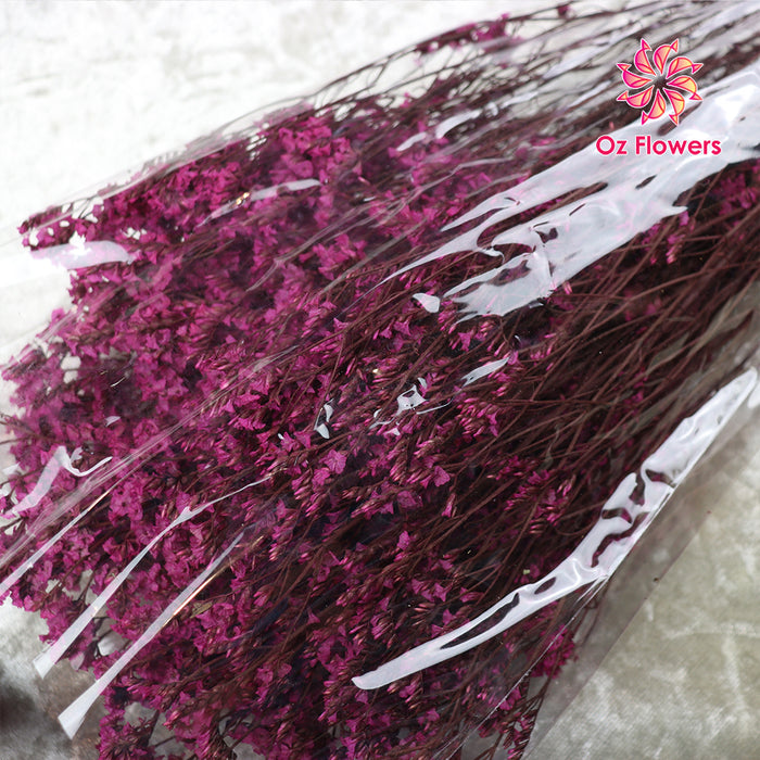 Magenta Natural Dried Crystal Grass Bunch