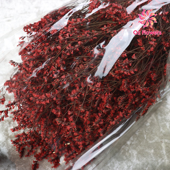 Red Natural Dried Crystal Grass Bunch