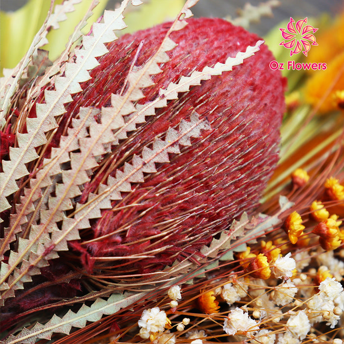 Long Lasting Beautiful Dried Flower Bouquet Bold Colors Yellow Red Orange