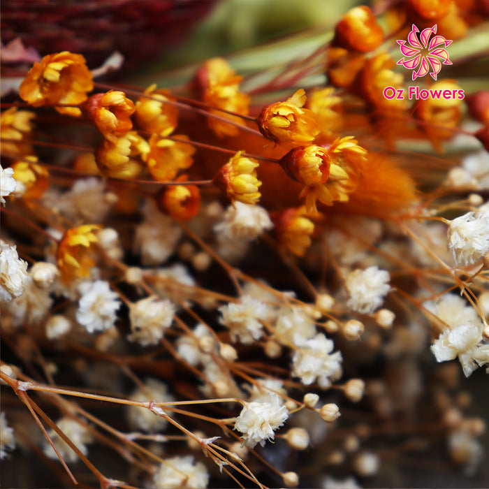 Long Lasting Beautiful Dried Flower Bouquet Bold Colors Yellow Red Orange