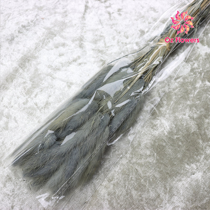 Gray Natural Dried Bunny Tails Flower Bunch