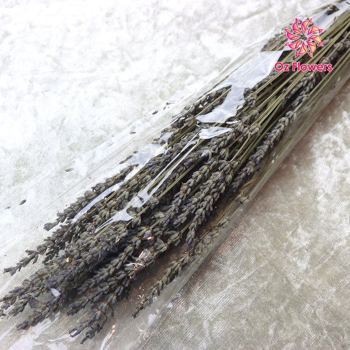 Gray Color Natural Dried Lavender Bunch