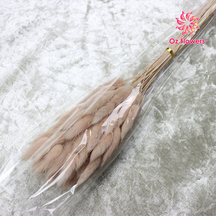 Light Brow-Pink Natural Dried Bunny Tails Flower Bunch