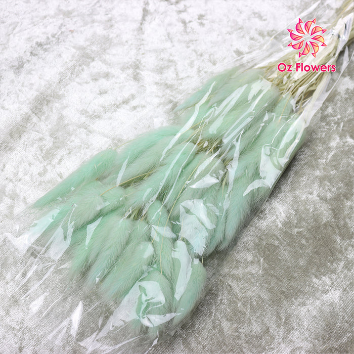 Light Cyan Natural Dried Bunny Tails Flower Bunch