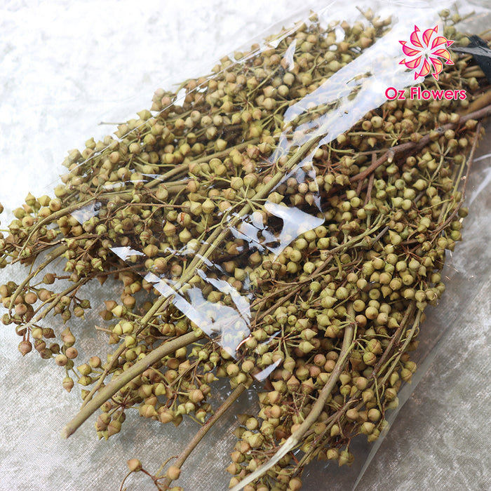 Small Fruits Globulus Millet Claw Shaped Natural Dried Bunch