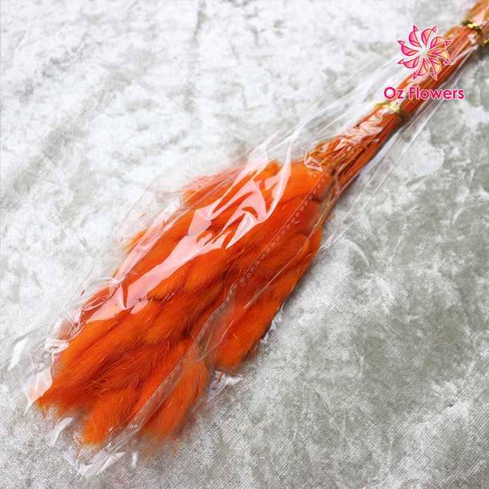 Orange Natural Dried Bunny Tails Flower Bunch