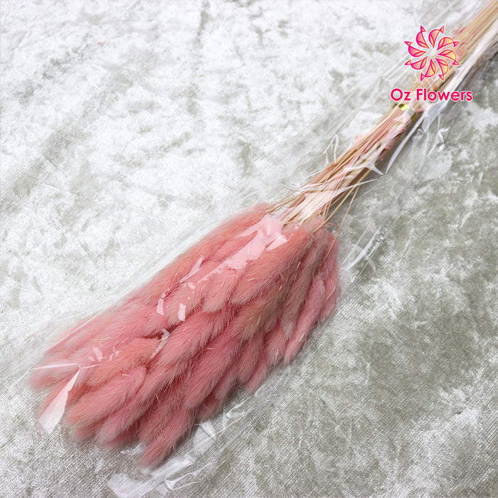 Pink Natural Dried Bunny Tails Flower Bunch