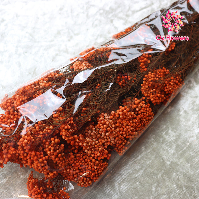 Dark Orange Natural Dried Rice Flowers Bunch