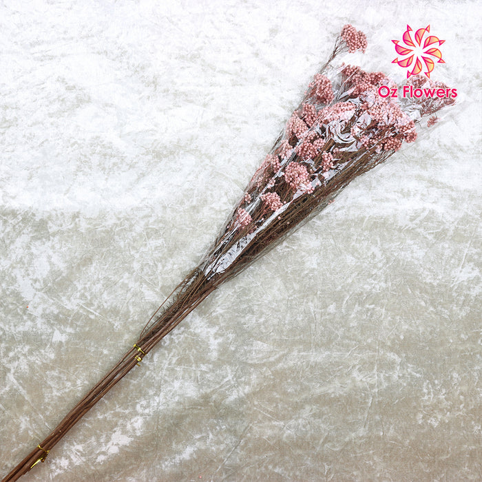 Pink Natural Dried Rice Flowers Bunch