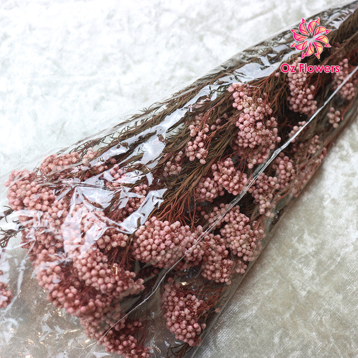 Pink Natural Dried Rice Flowers Bunch