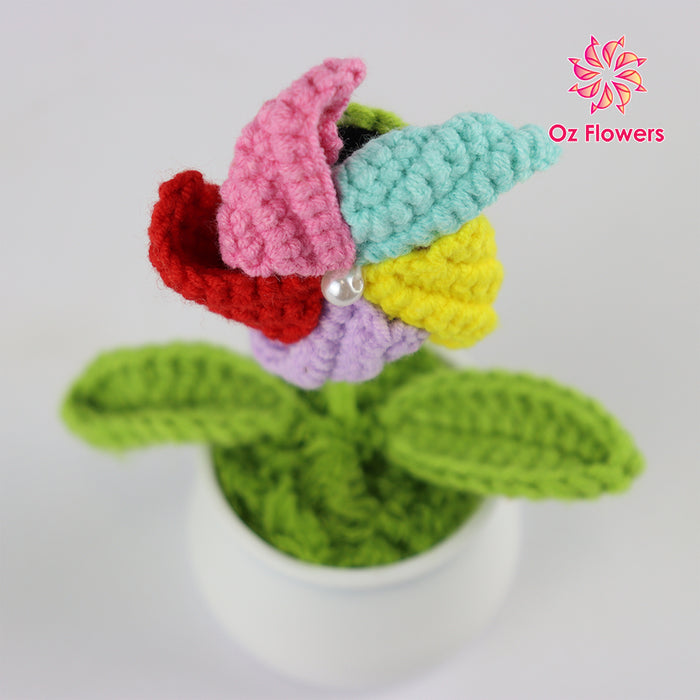 Crochet Windmill B In 5cm White Plastic Pot