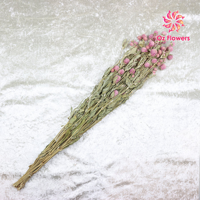 Pink Natural Dried Chirihong Bunch