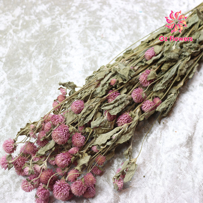 Pink Natural Dried Chirihong Bunch