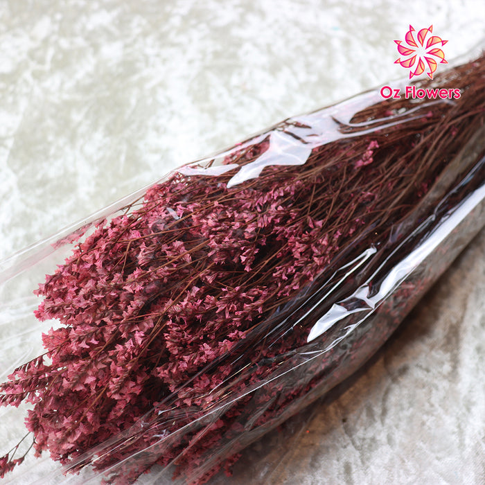 Pink Natural Dried Crystal Grass Bunch