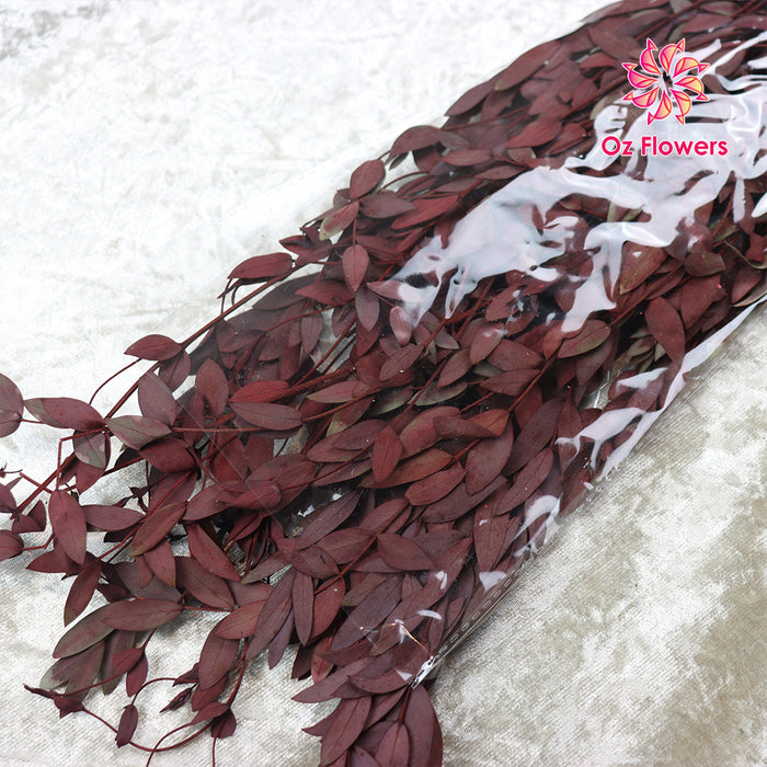 Dark Brown Natural Dried Eucalyptus Small Leaves Bunch