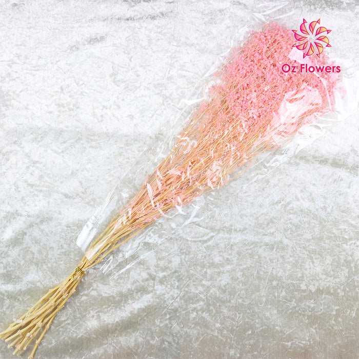 Pink Natural Dried Fantasy Star Little Baby's Breath Bunch (Soft Cane)