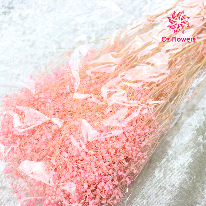 Pink Natural Dried Fantasy Star Little Baby's Breath Bunch (Soft Cane)