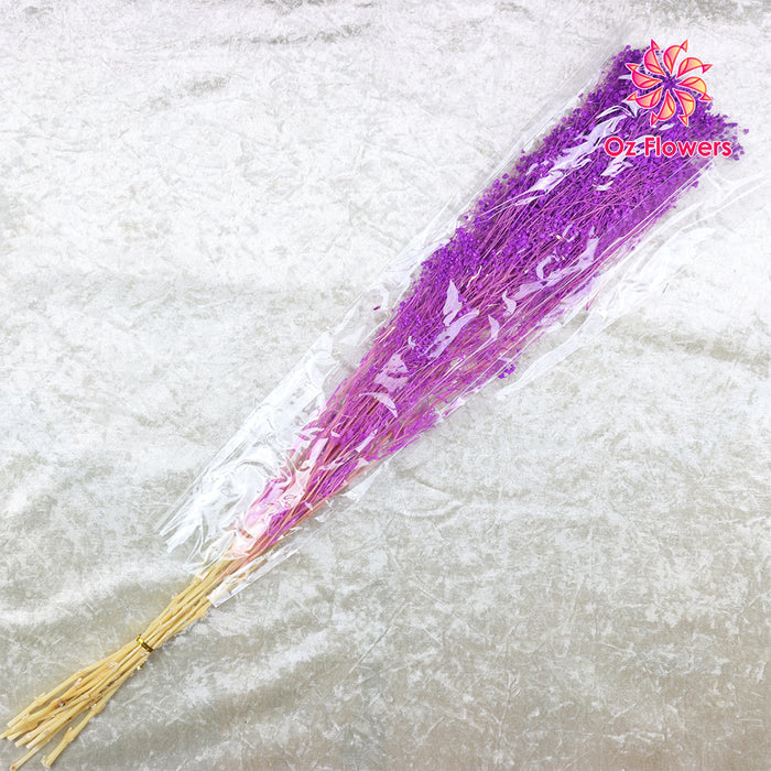 Purple Natural Dried Fantasy Star Little Baby's Breath Bunch (Soft Cane)