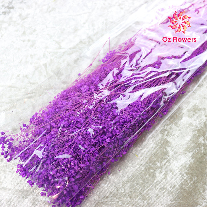 Purple Natural Dried Fantasy Star Little Baby's Breath Bunch (Soft Cane)