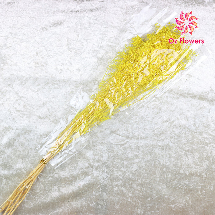 Yellow Natural Dried Fantasy Star Little Baby's Breath Bunch (Soft Cane)