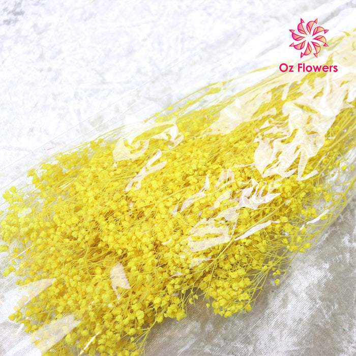 Yellow Natural Dried Fantasy Star Little Baby's Breath Bunch (Soft Cane)