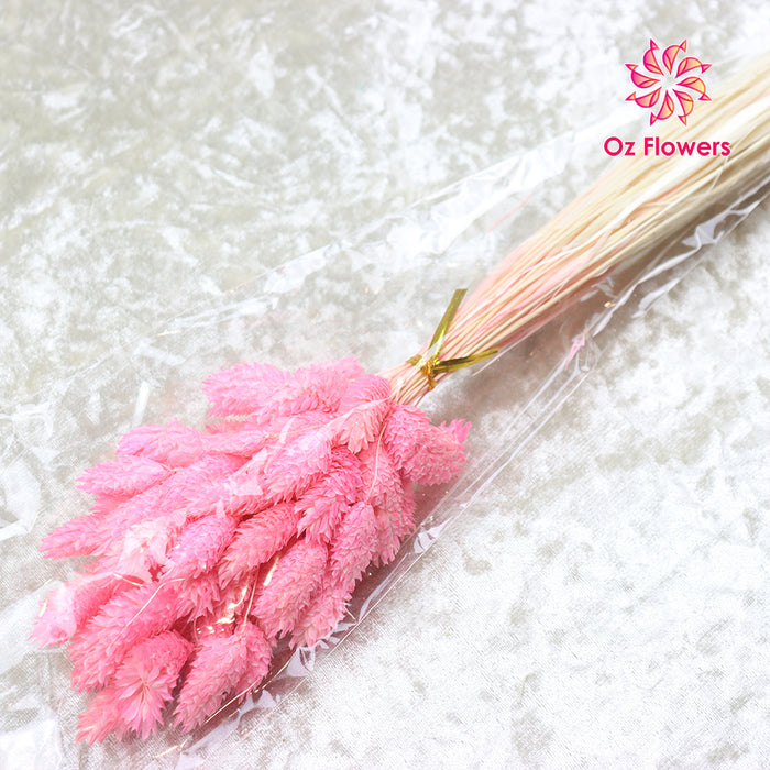 Pink Natural Dried Gem Grass Bunch