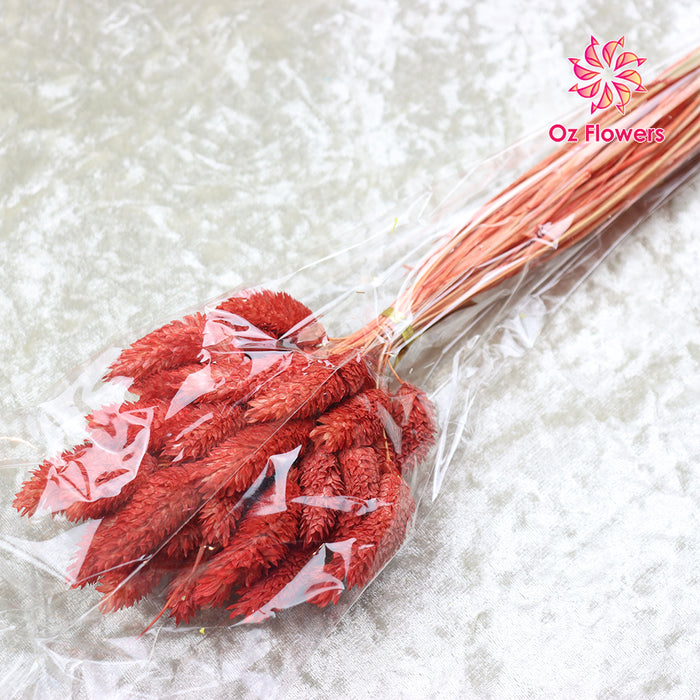 Red Natural Dried Gem Grass Bunch