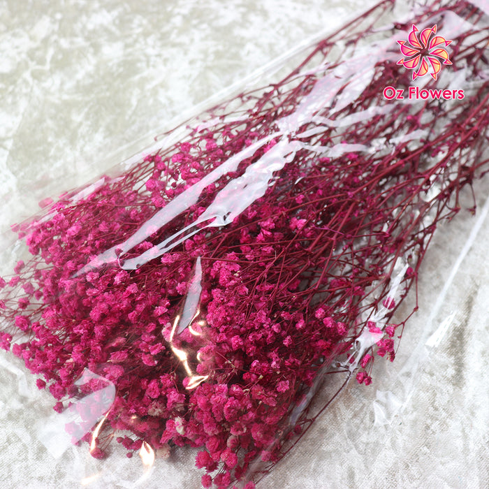 Magenta Natural Dried Gypsophila Fantasy Stars Baby's Breath Bunch