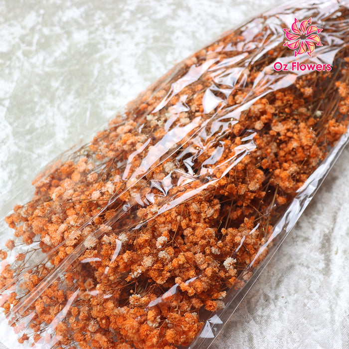 Orange Natural Dried Gypsophila Fantasy Stars Baby's Breath Bunch