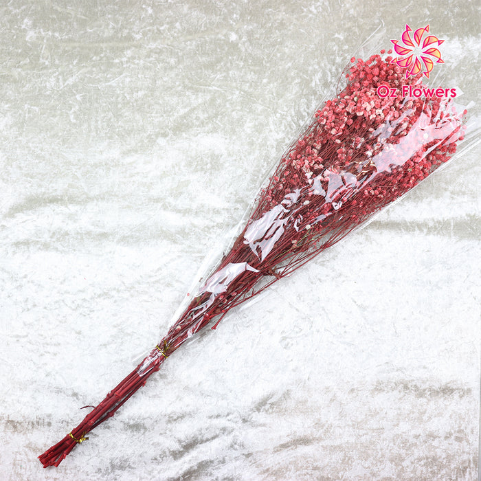 Pink-Red Natural Dried Gypsophila Fantasy Stars Baby's Breath Bunch