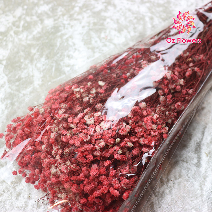 Pink-Red Natural Dried Gypsophila Fantasy Stars Baby's Breath Bunch