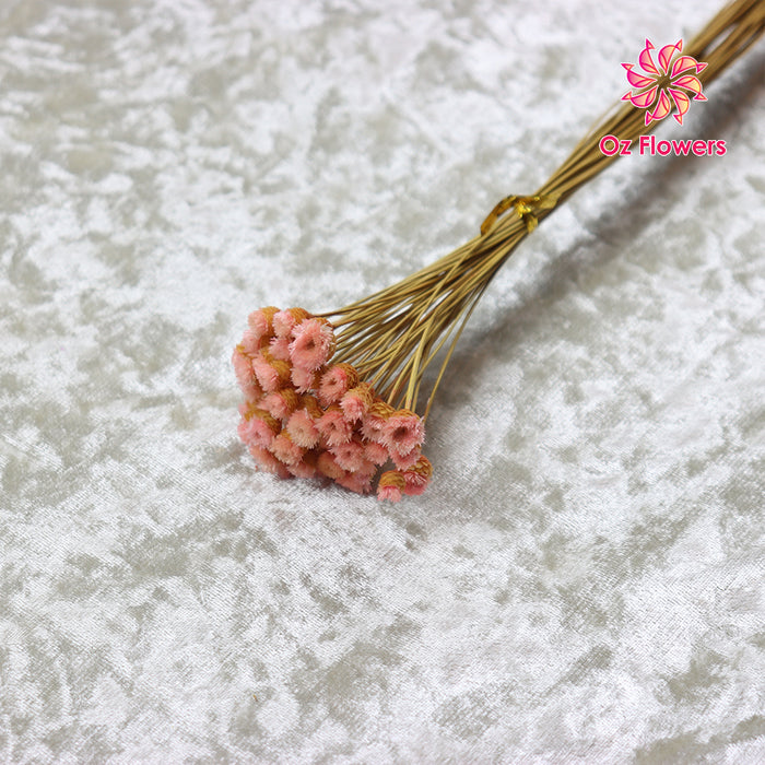 Light Pink Natural Dried Happy Flower Bunch